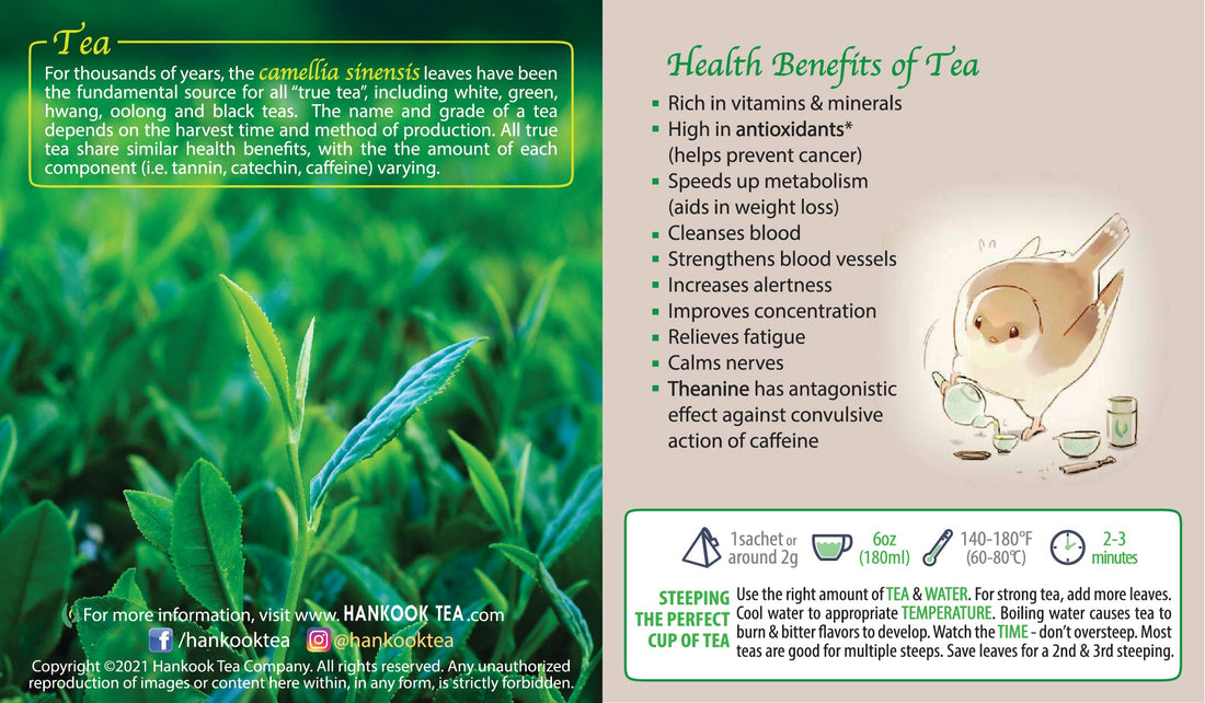 Jaksul 101 – Sparrow What?