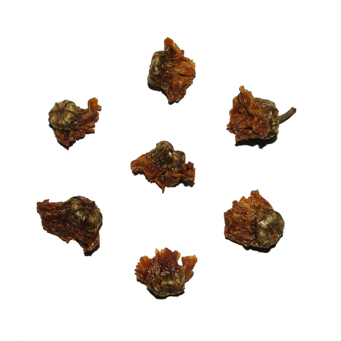 Organic Chrysanthemum Blossom Tisane [loose blossoms]