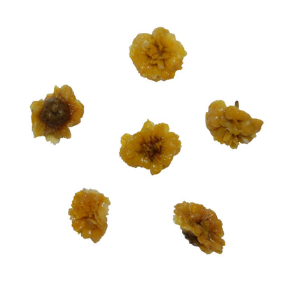 Herbal Quartet Gift Set