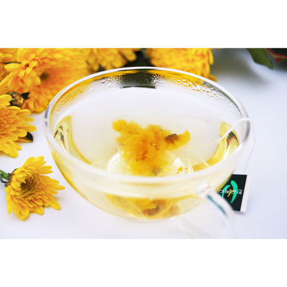 chrysanthemum blossom sachet steeped in glass cup