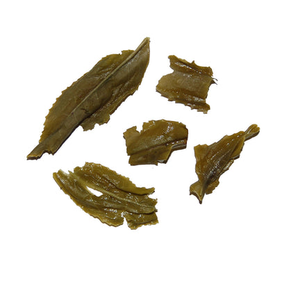 Jaksul Green Tea - Organic Doo Mool (summer harvest) [loose tea]